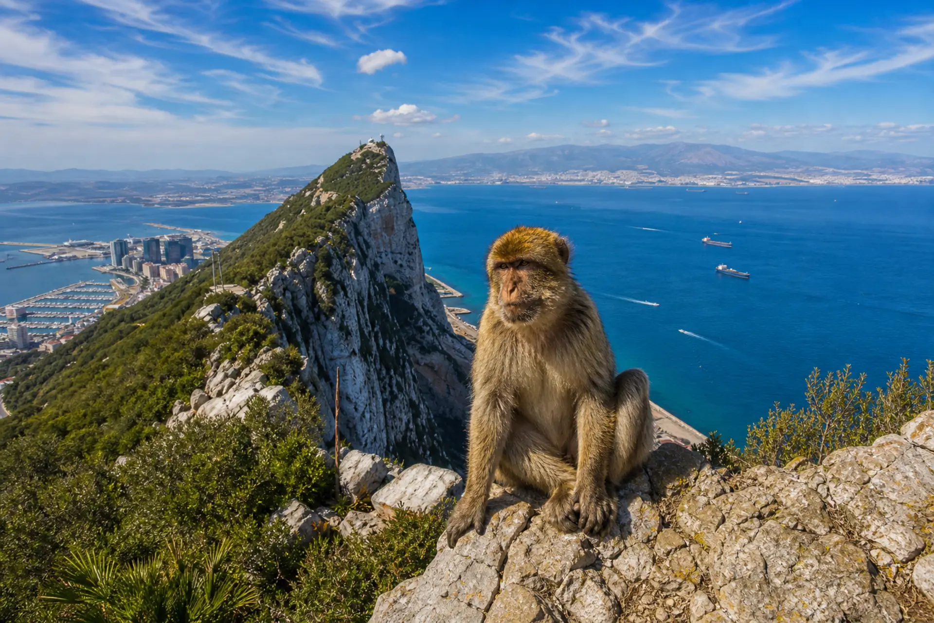 Gibraltar - britská Skála a makakové