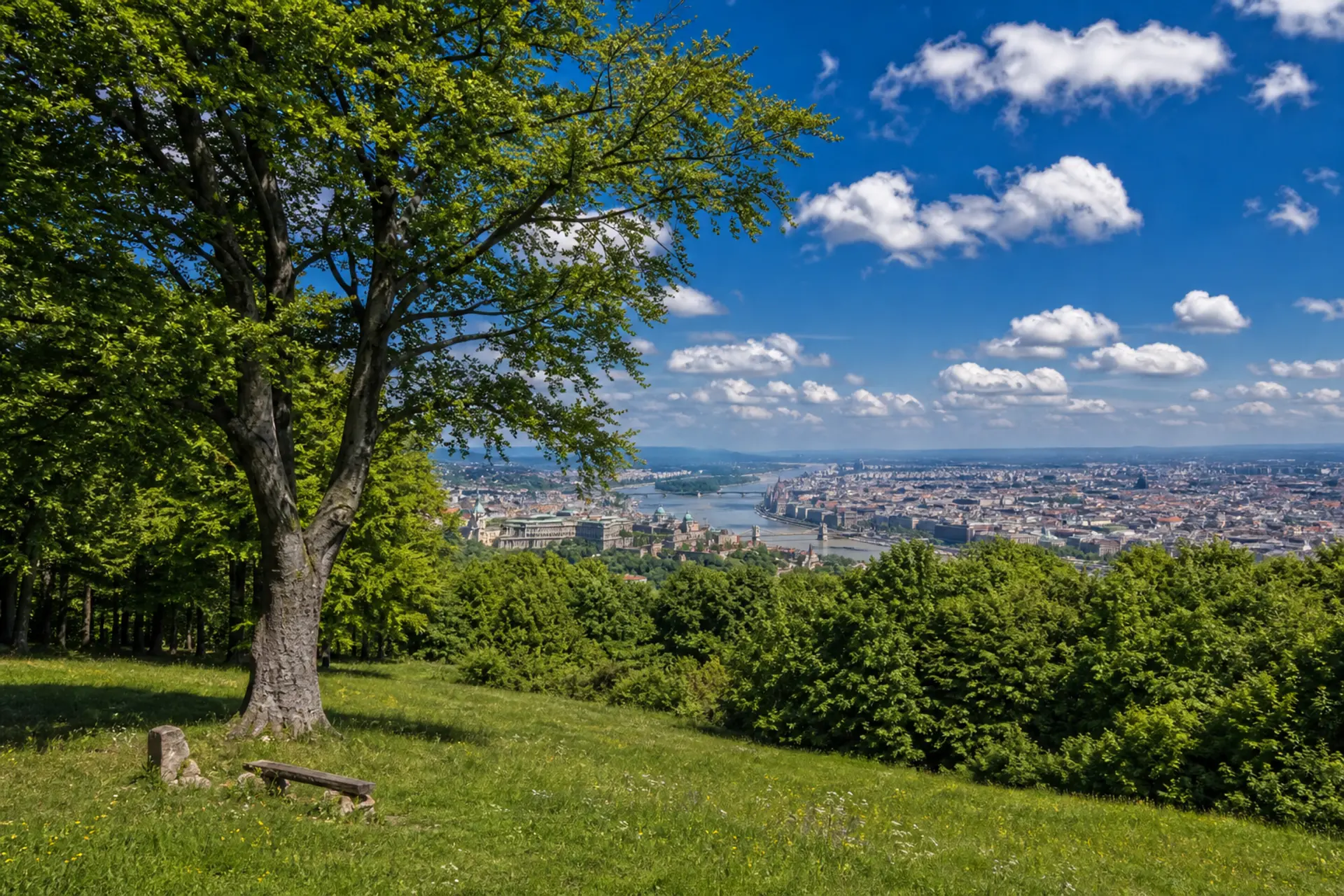 Park Normafa (budínské hory)