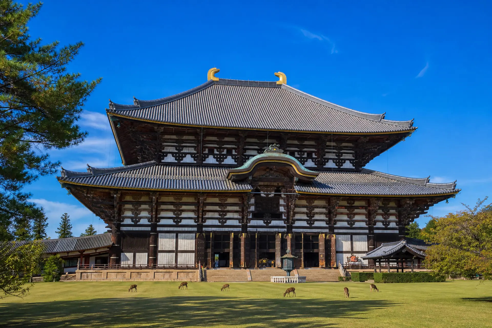 Nara a velký Buddha