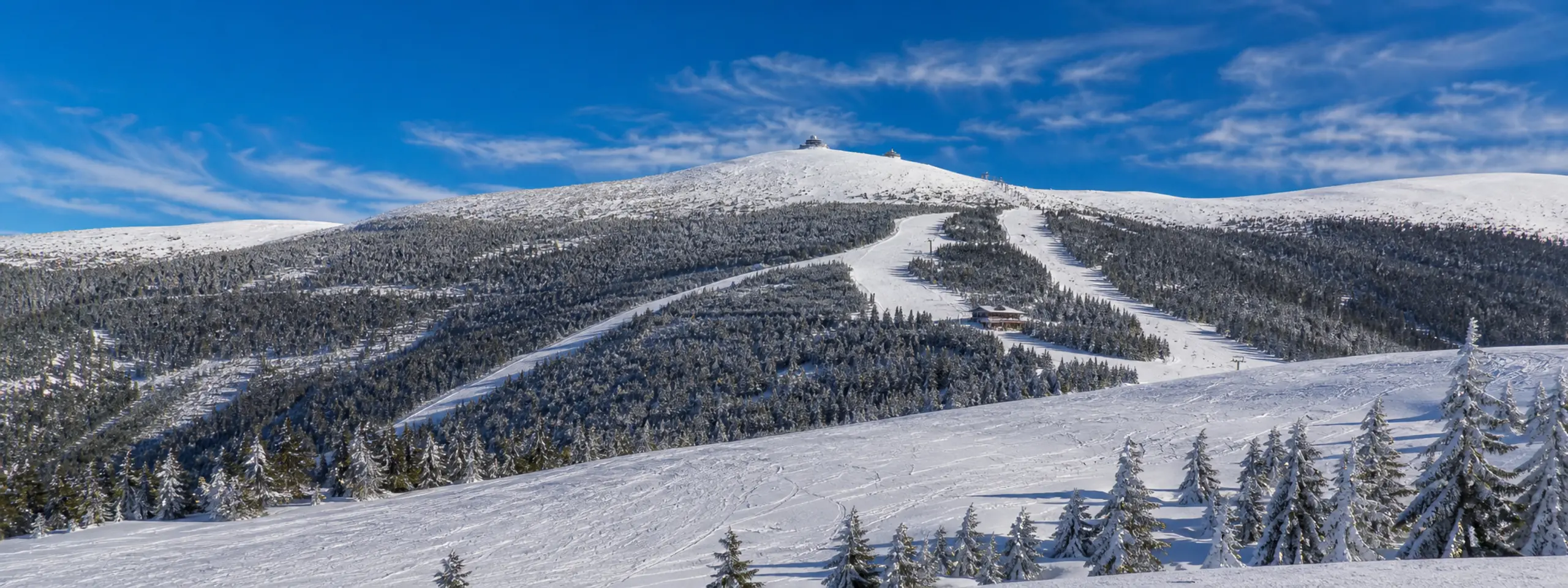 Česko