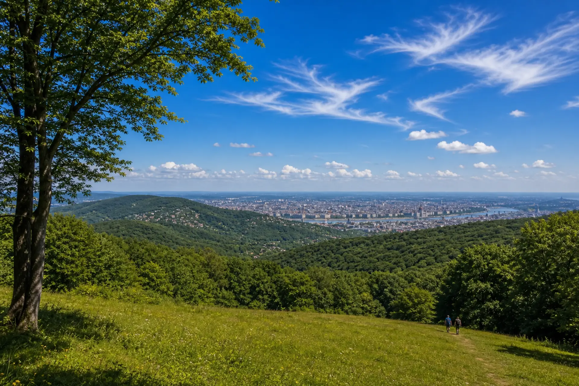 Park Normafa a Buda Hills