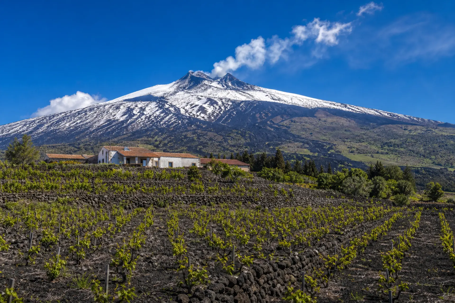 Etna - aktivní sopka 3 357 m