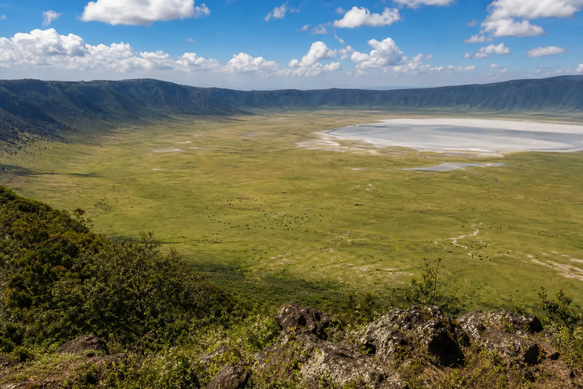Kráter Ngorongoro
