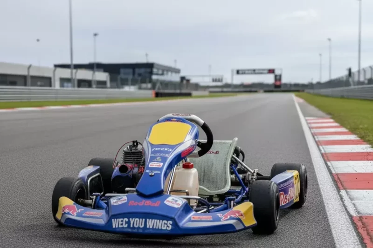 Adrenalinová jízda na okruzích a letištích v motokáře Rotax 125 MAX - foto 07