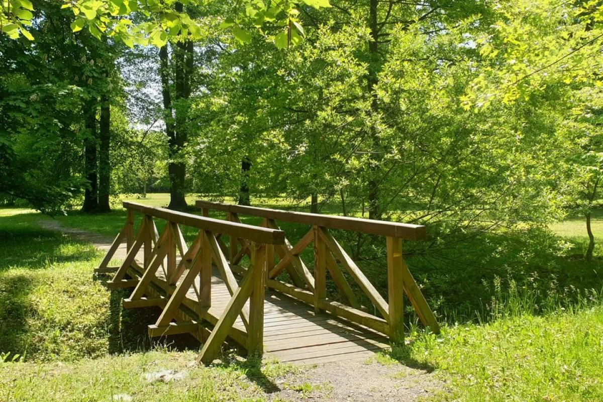 Animáci – dětská venkovní úniková hra - foto 02
