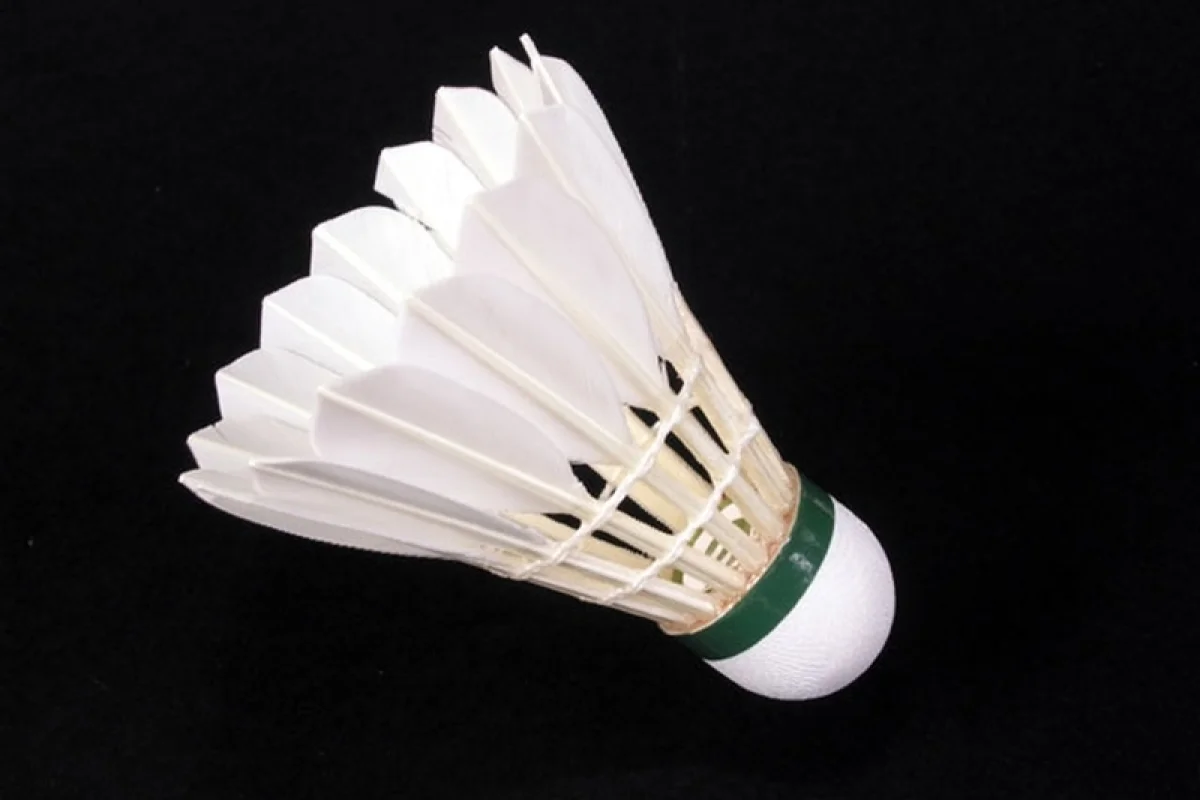Badminton s mistryní ČR - foto 03