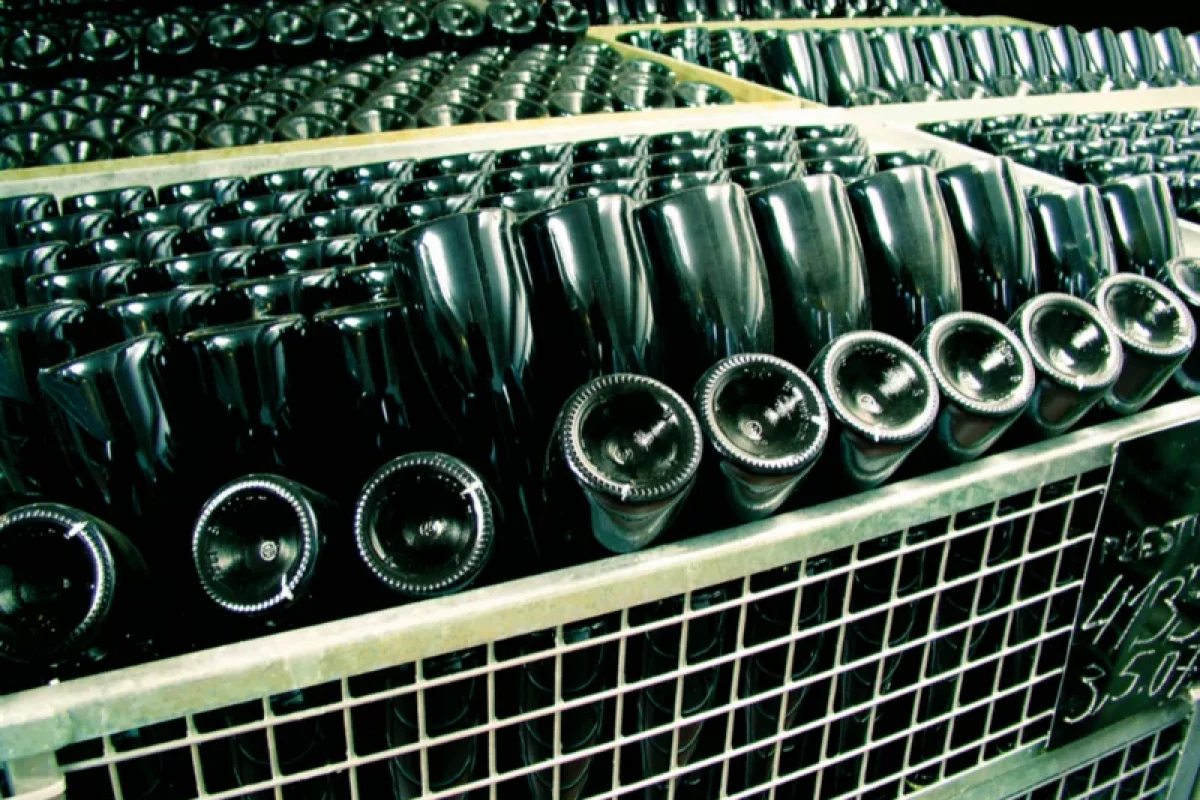 Bohemia Sekt: Prohlídka s degustací 6 sektů - foto 09