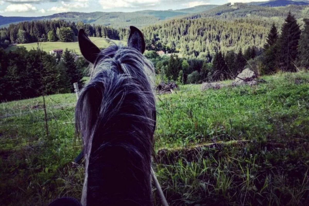 Celodenní výlet na koních v v Kysucích, Slovensko - foto 03