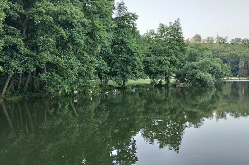 Cesta za pravěkým pokladem: Venkovní úniková hra - foto 04