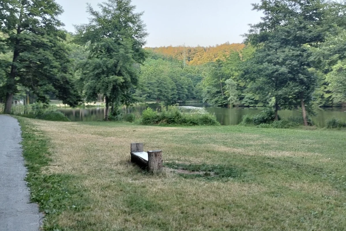 Cesta za pravěkým pokladem: Venkovní úniková hra - foto 06