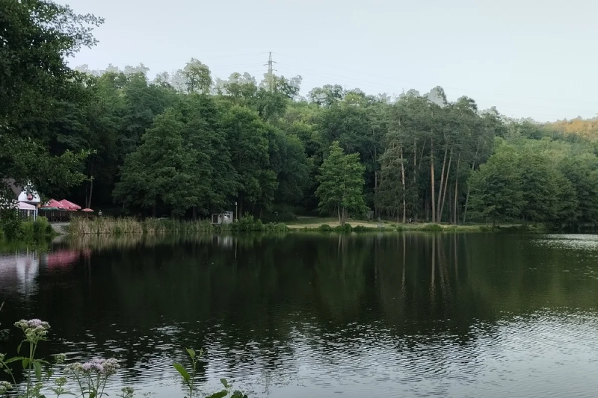 Cesta za pravěkým pokladem: Venkovní úniková hra - foto 07