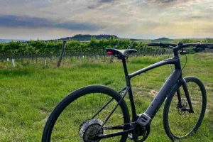 Cyklo a wellness pobyt na jižní Moravě - foto 01