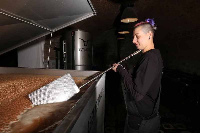Dárkový balíček 10 druhů piva Zlatá Kráva + videodegustace se sládkem - foto 04