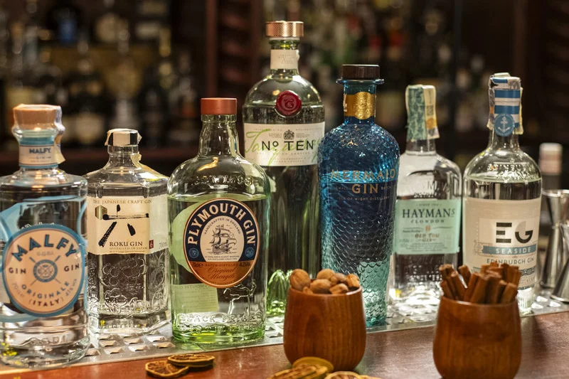 Degustace gin & tonic - foto 03