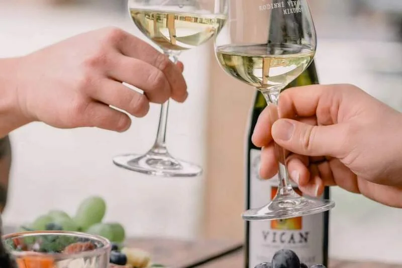 Degustace vín s občerstvením + dárkový set vína a sýrů - foto 04