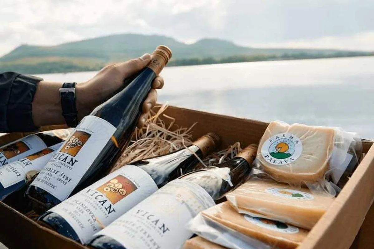 Degustace vín s občerstvením + dárkový set vína a sýrů - foto 05