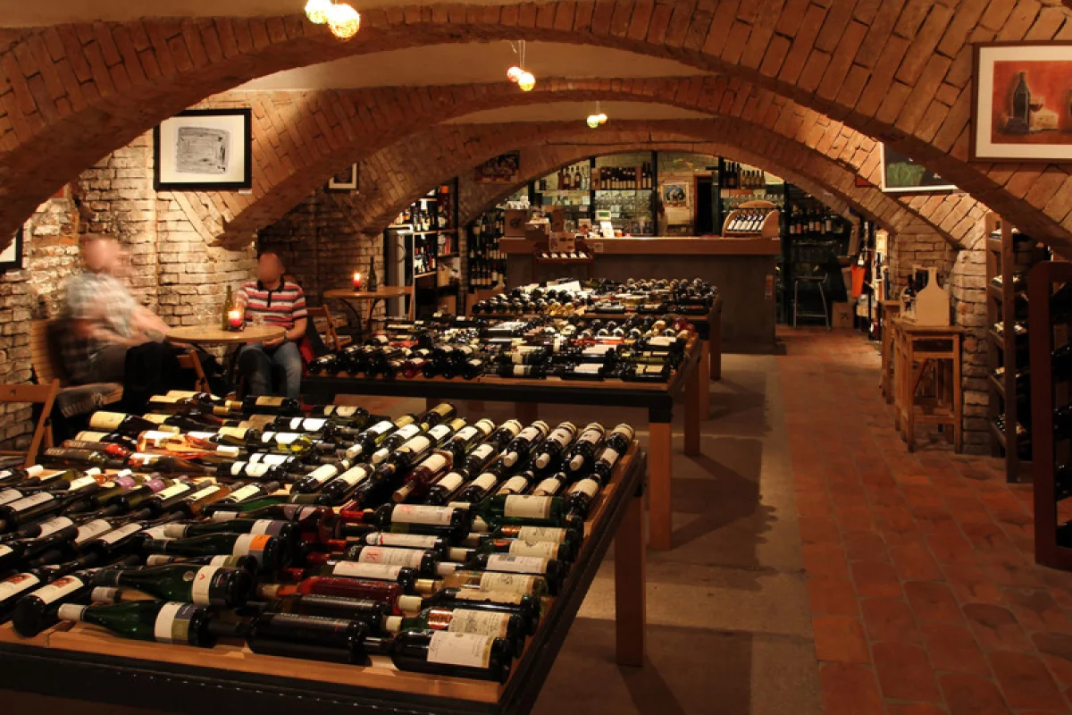 Degustace vín s občerstvením + dárkový set vína a sýrů - foto 06