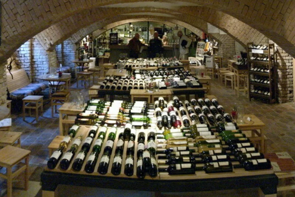 Degustace vín s občerstvením + dárkový set vína a sýrů - foto 07