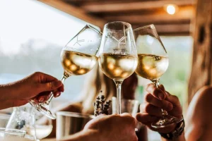 Degustace vín z Vinařství Fučík ve vinařském Hotelu Ryzlink v Mikulově - foto 01