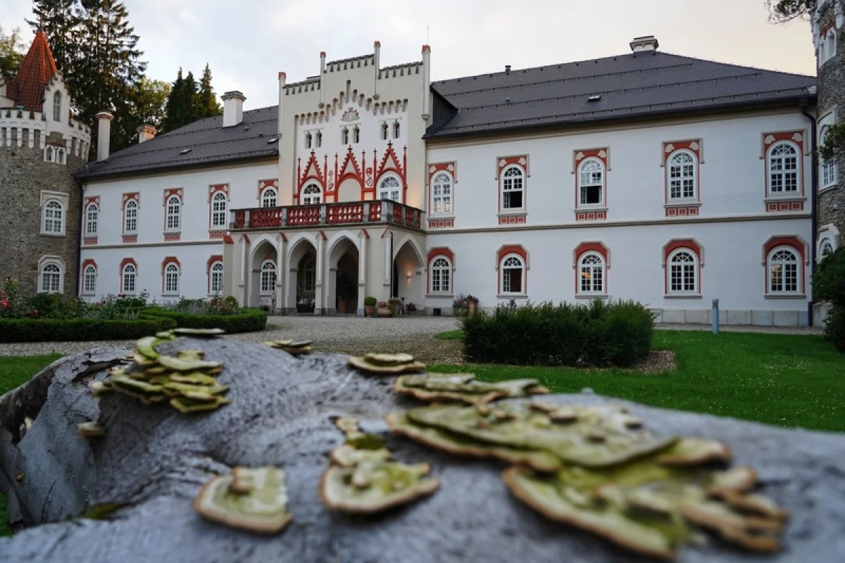 Degustační 6chodové menu v restauraci Chateau Herálec - foto 08