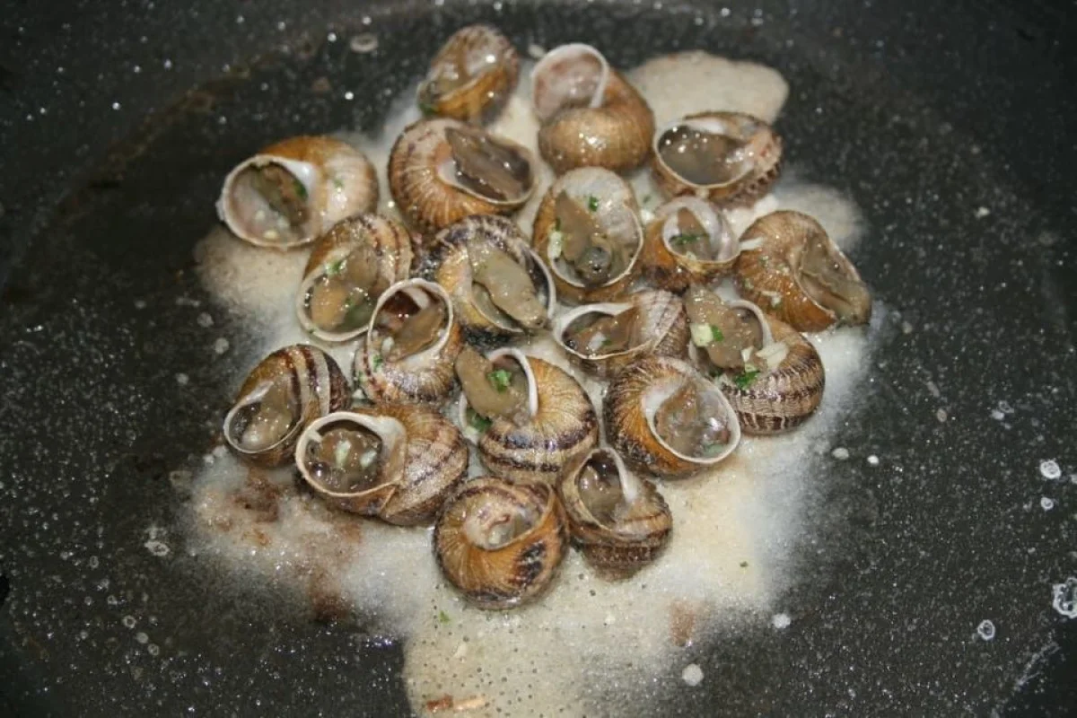 Degustační menu na šnečí farmě v Praze pro dva - foto 04