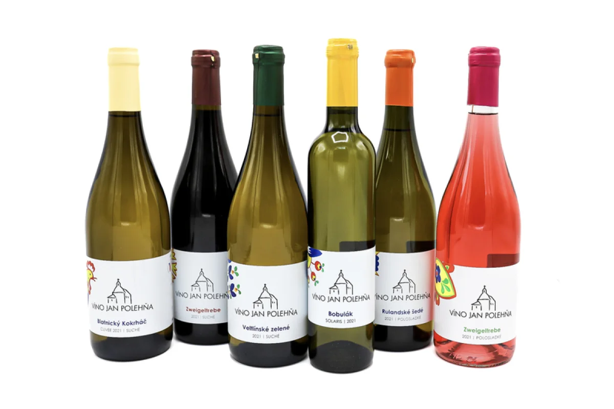 Domácí degustace moravských vín + bedna 6 lahví - foto 06