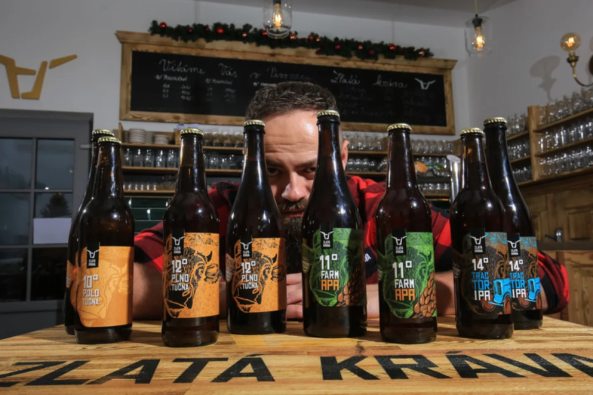 Domácí degustace piva s pivovarem Zlatá Kráva: Průřez pivními styly pro pivní nadšence + bedna 10 druhů piva - foto 04