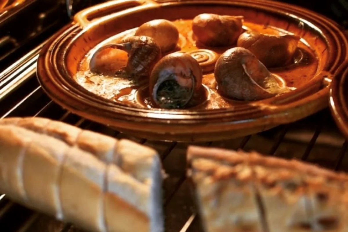 Exkurze na šnečí farmu Nahošovice s degustačním menu včetně nápojů - foto 02