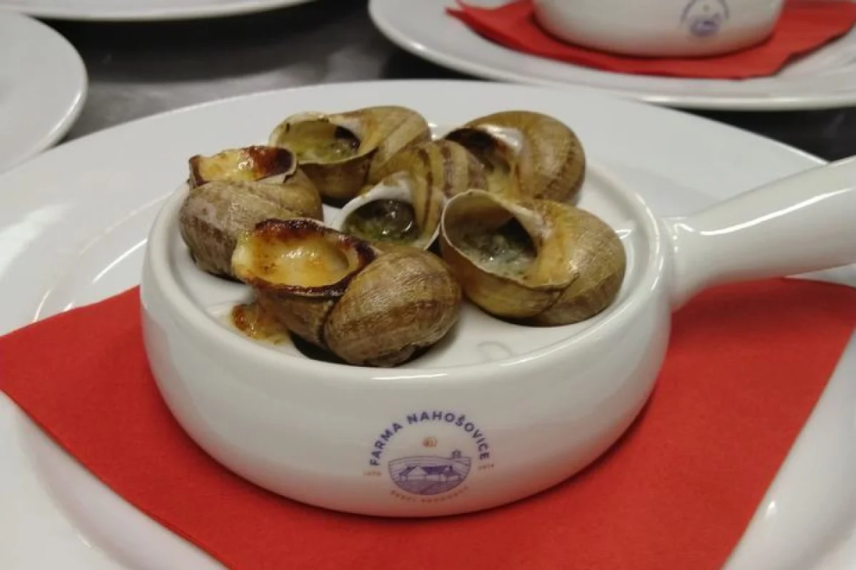 Exkurze na šnečí farmu Nahošovice s degustačním menu včetně nápojů - foto 05