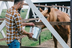 Farmářem na zkoušku aneb den s koňmi - foto 01