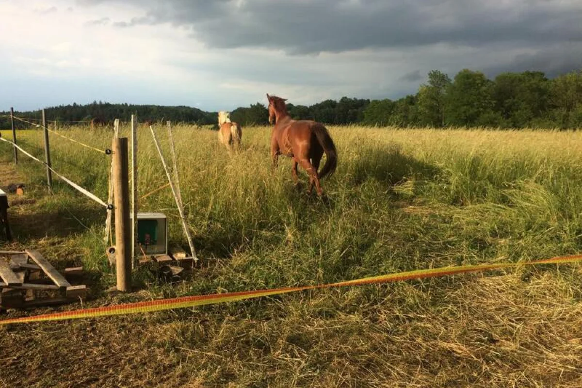 Farmářem na zkoušku aneb den s koňmi - foto 06