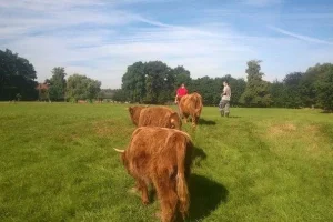 Farmářem na zkoušku - dvoudenní pobyt na statku + péče o zvířata - foto 02