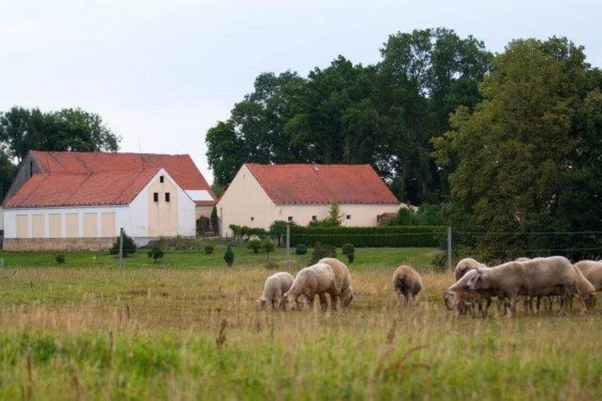 Farmářem na zkoušku - dvoudenní pobyt na statku + péče o zvířata - foto 03