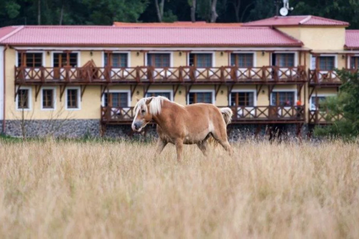 Farmářem na zkoušku s ubytováním a polopenzí v Resortu Stein u Chebu - foto 04