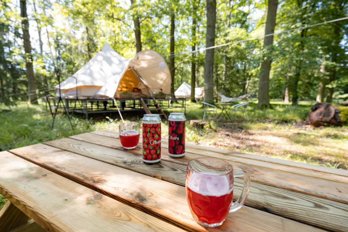 Glamping v lese pro dva - foto 05