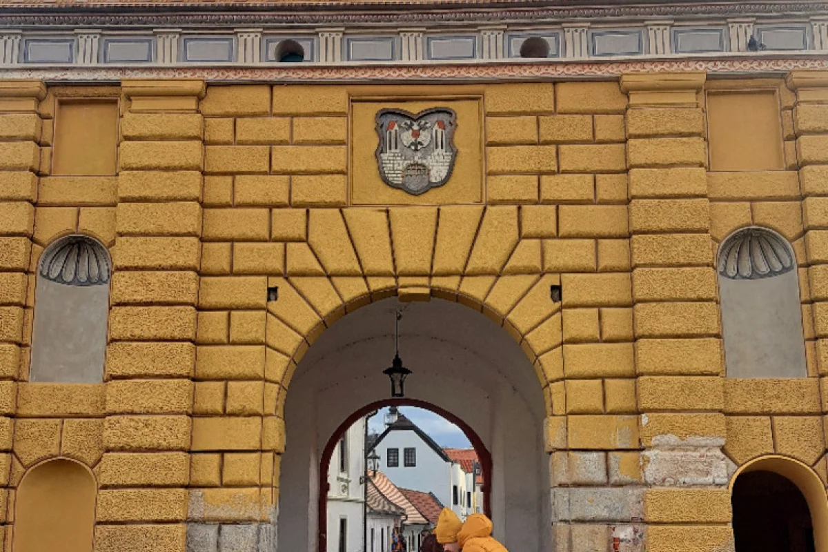 Hledání léku: Venkovní úniková hra - foto 03