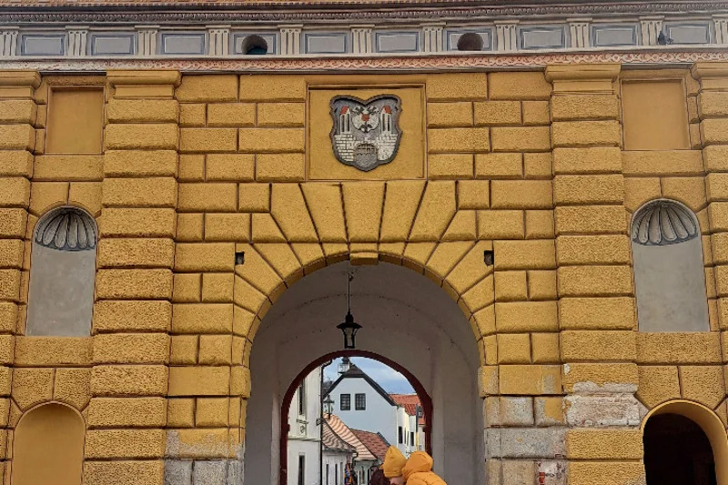 Hledání léku: Venkovní úniková hra - foto 03