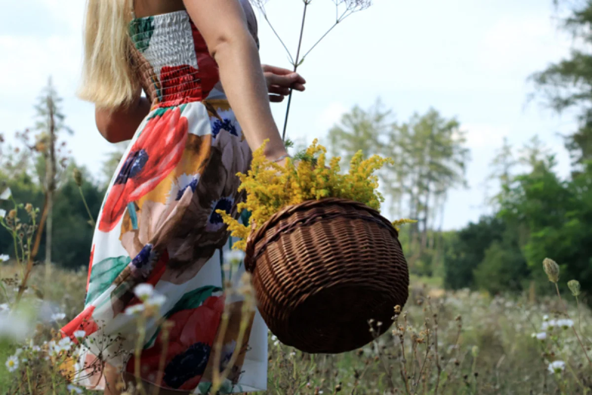 Individuální procházka přírodou s vůní bylin a relaxací - foto 08