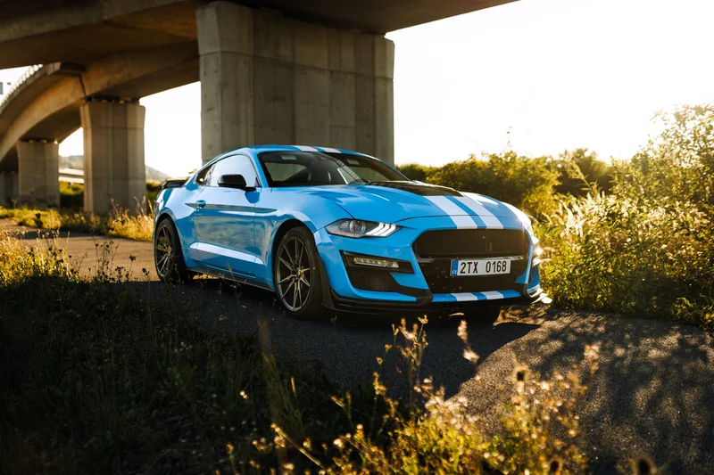 Jízda v supersportu Ford Mustang GT500 Paket - foto 06