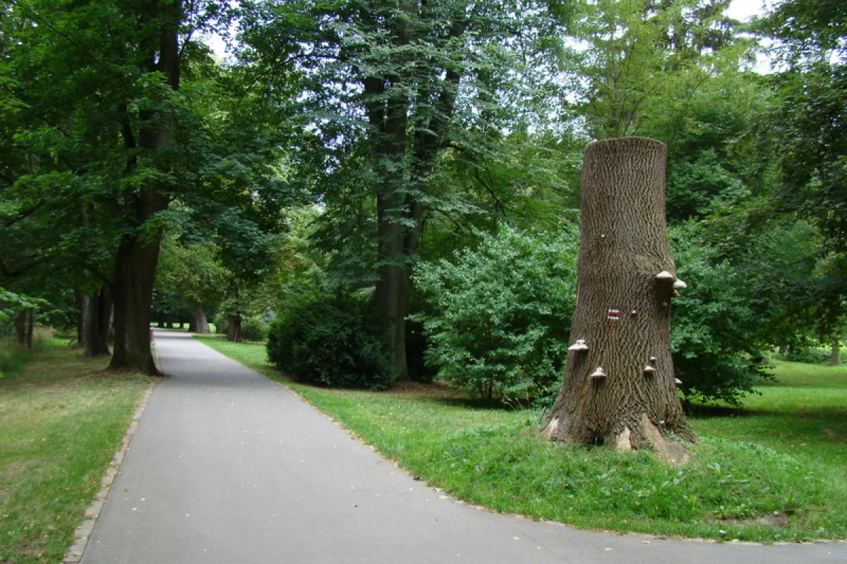 Klíč do neznáma: Venkovní úniková hra - foto 09