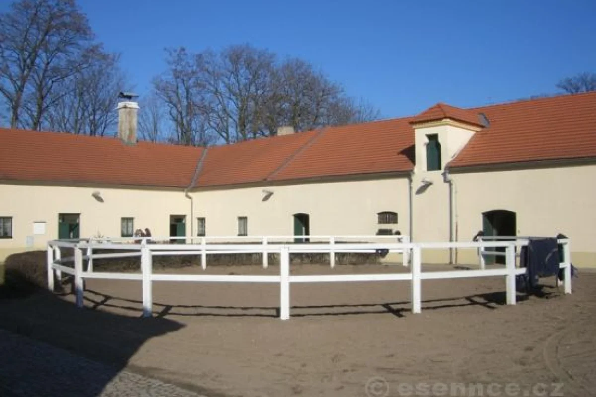 Koně - poprvé v sedle - foto 02