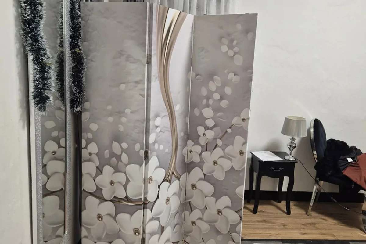 Kouzelná proměna ve stylu Ledového království - foto 07