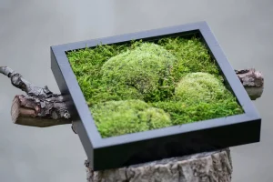 Kreativní kurz: Výroba mechových obrazů v Praze - foto 01