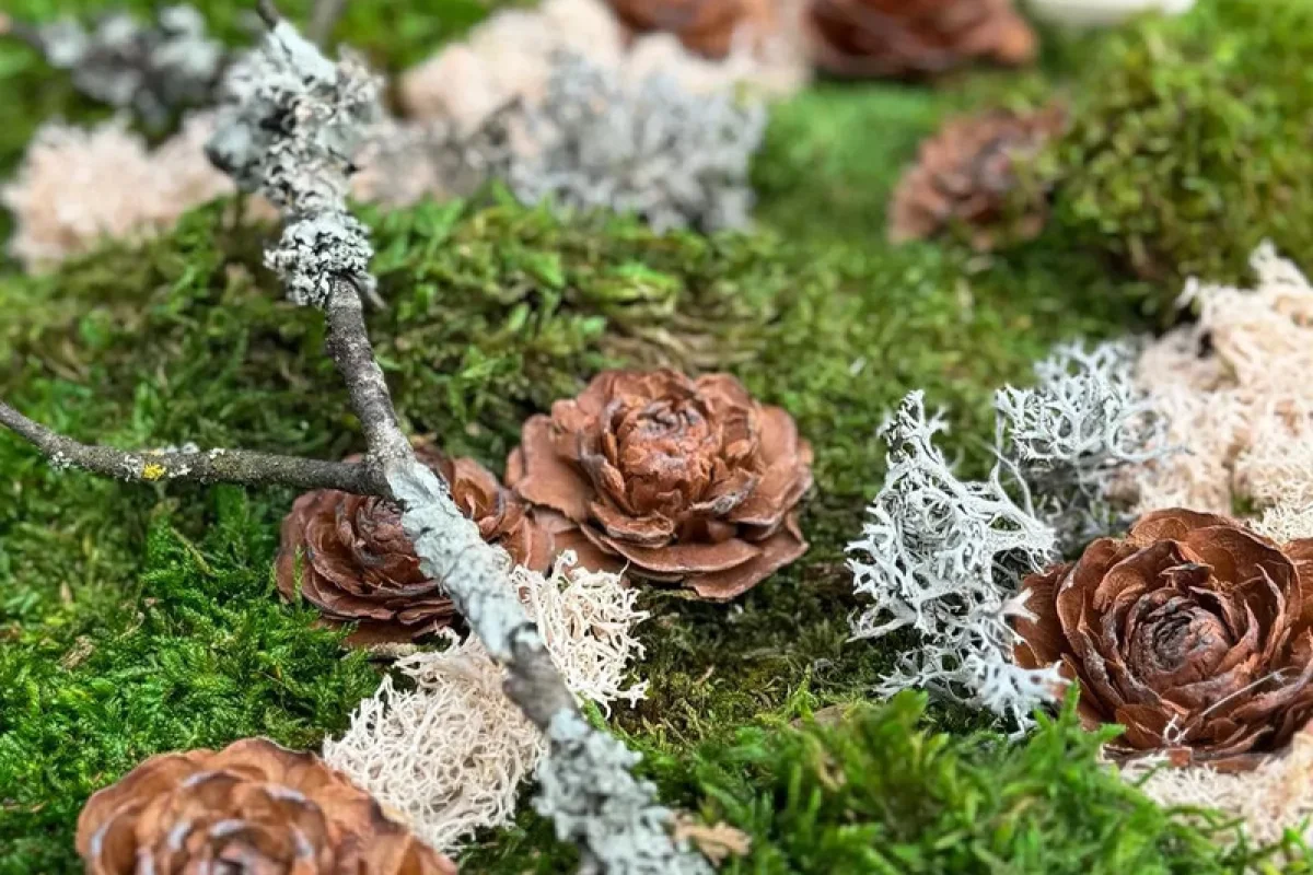 Kreativní kurz: Výroba mechových obrazů v Praze - foto 06