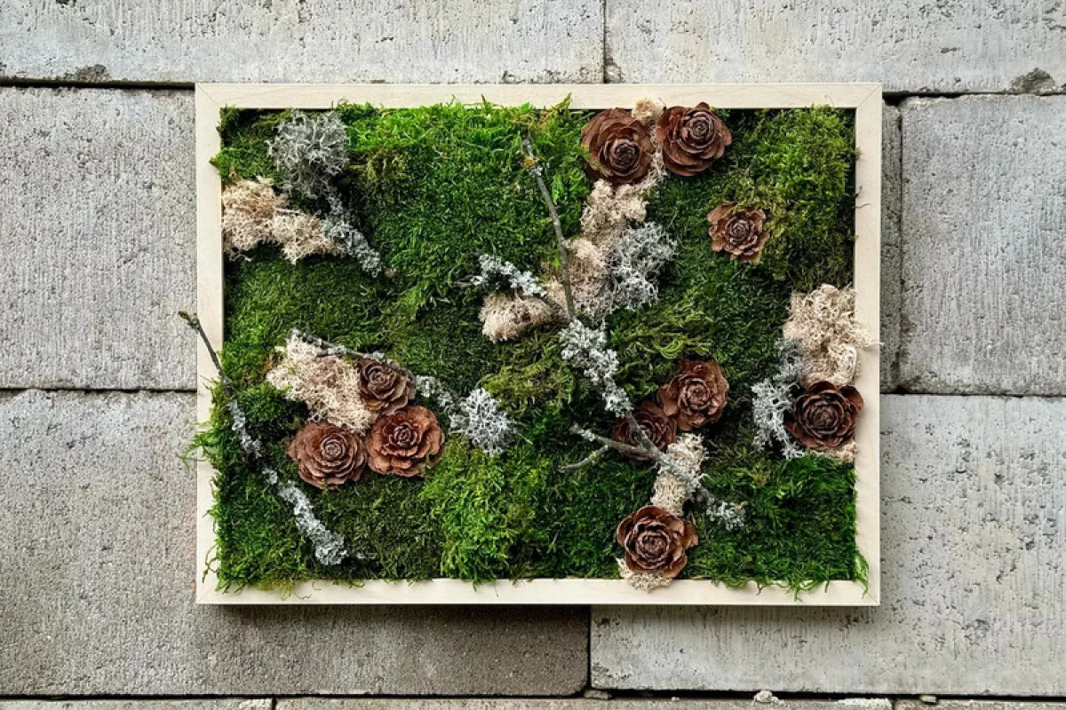 Kreativní kurz: Výroba mechových obrazů v Praze - foto 07