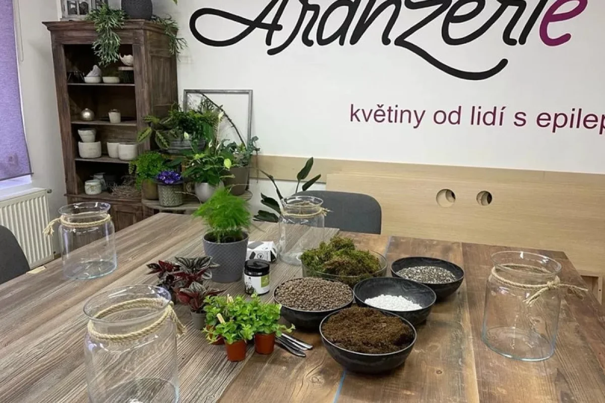Kreativní kurz: Výroba mechových obrazů v Praze - foto 08
