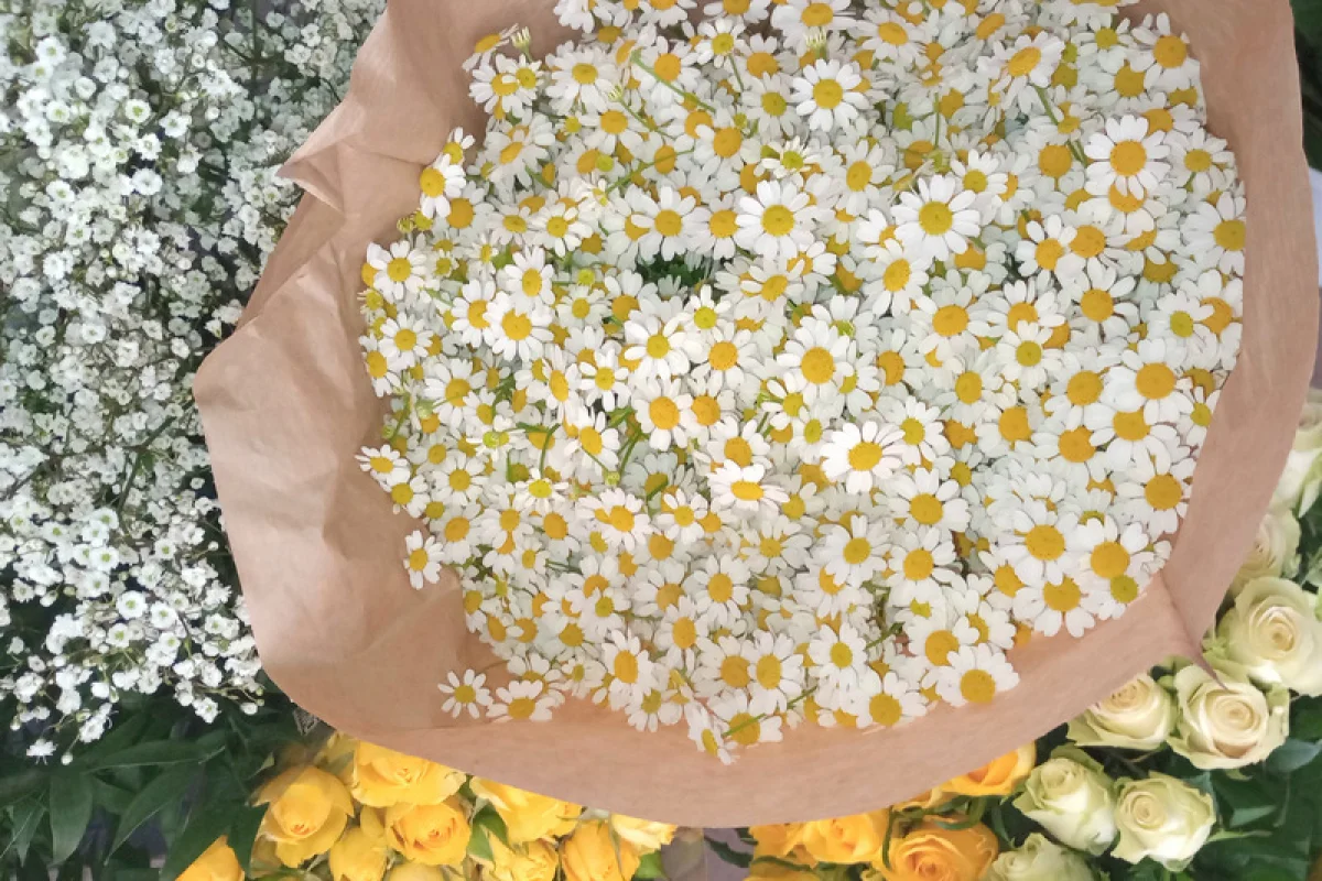Kurz floristiky pro začátečníky - foto 09