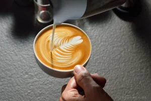 Kurz kávy - Latté art - foto 01