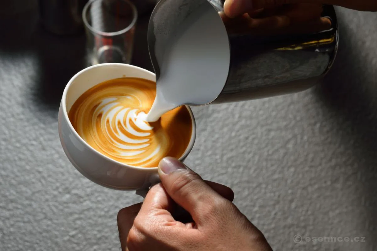 Kurz kávy - Latté art - foto 03