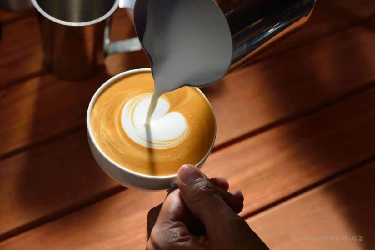 Kurz kávy - Latté art - foto 04